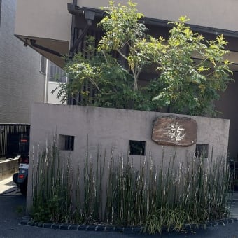 ＠中華屋　龍