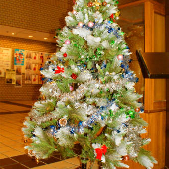 紀南文化会館にクリスマスツリー登場！