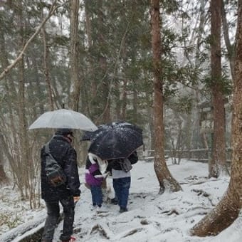 アウトレットと、雪の舞う乙女の滝【２０２４年・栃木那須旅行】