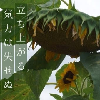 天の川