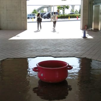 6月の水辺の風景