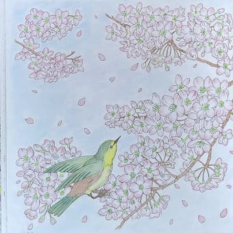 大人のぬり絵