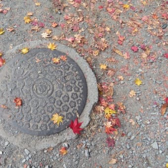 錦秋の懐古園