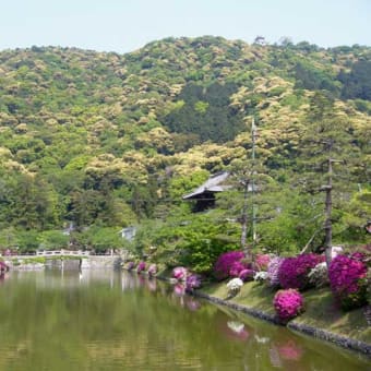 この五月の連休に岩国に行ってきた時の写真です（＾ ＾）