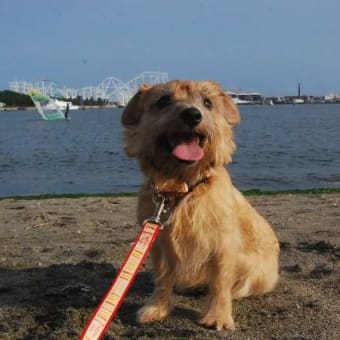 また海の公園