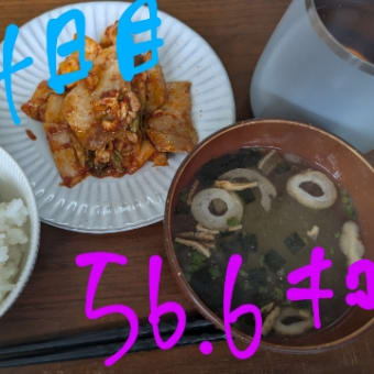 ダイエット18日目〜24日目