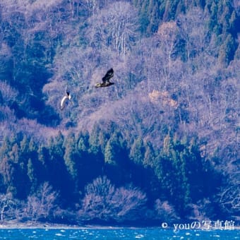 山本山のおばあちゃん