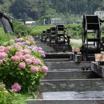 野中兼山の用水路のせせらぎ　安並水車の里