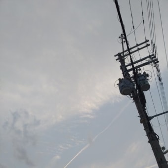 2025-04-28 Photo