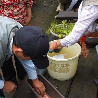 花の植え付け・挿し木の方法等を教わりました。