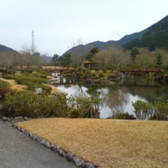 拉致