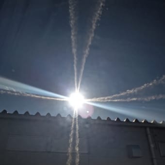 おはようございます