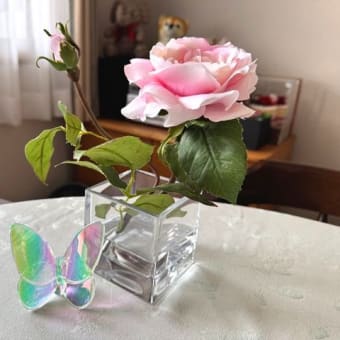 ブログお引越ししました