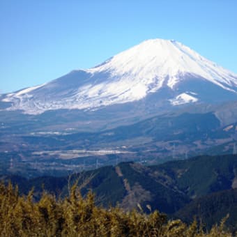 大野山