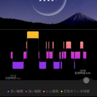睡眠💤記録