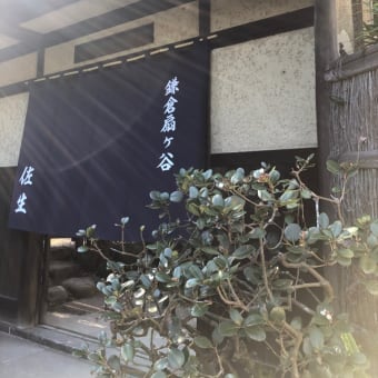 SASHOで中国茶と和御膳のコラボレーション