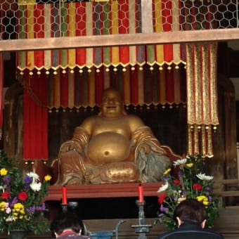 京都 ホタルの名所