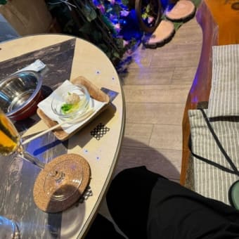 ランちゃんとドックカフェに行って来ました　2024年6月4日