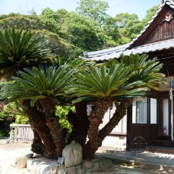 粟島（香川）
