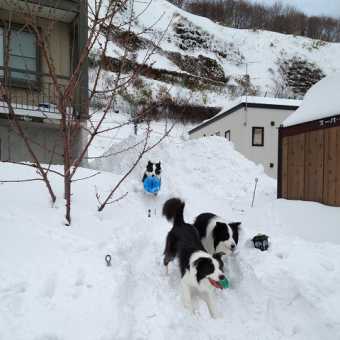 大雪だぜ