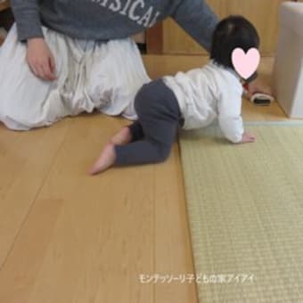 ニド（0歳クラス）（2025年2月）