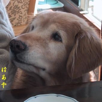 朝ごはん