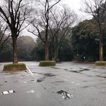 大相撲