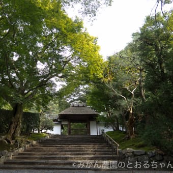 京都府京都市・安楽寺 山門