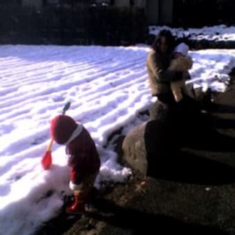 雪国からの挑戦