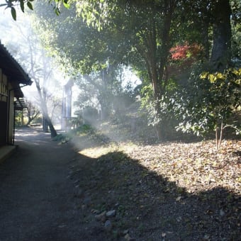 神社の裏にて