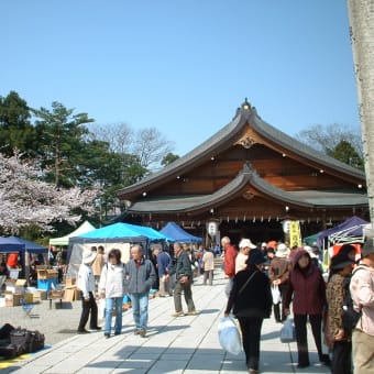 桜満開「富山護国神社・蚤の市に行く」