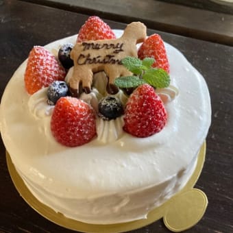 お久しぶりです