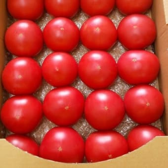 真っ赤なトマトが届いたよ♫（とれたて村給食６月18日）