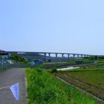 ローソン川にて