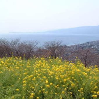 二宮の吾妻山公園