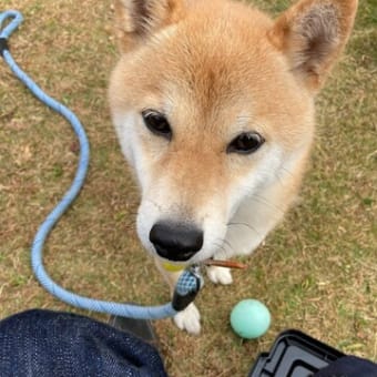 休日のルーチン