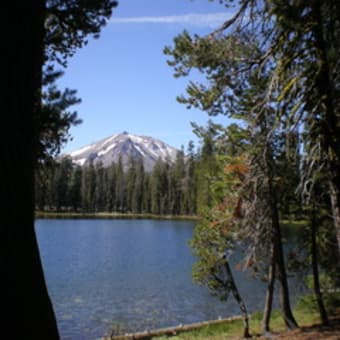カリフォルニアからハ～イ！（５）　MVPくん登山新記録２５７５メートル達成