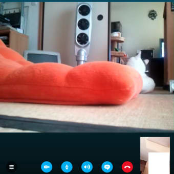 Skypeに映った