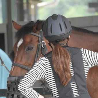 馬との会話