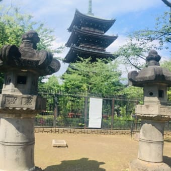 久しぶりの上野公園