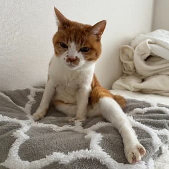 今日のセクシー