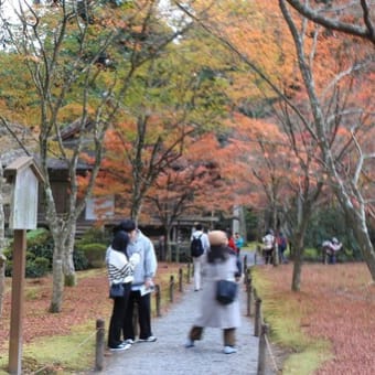 今年も京都へ