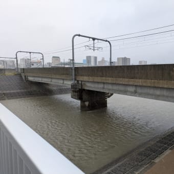 久しぶりの大雨