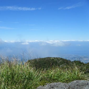 大文字草を観に雲仙へ