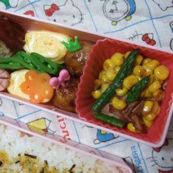 日々のお弁当２