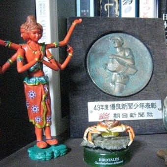 画像一覧 都立代々木高校 三部制 物語