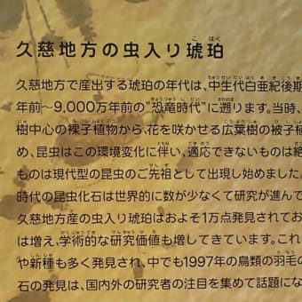 岩手県久慈市　久慈琥珀博物館①「あまちゃん」と久慈琥珀