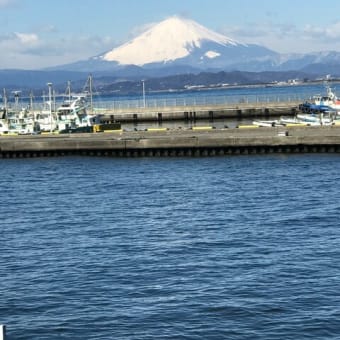 寒く乾燥した晴天の午前中は秀麗な富士山に出会えます