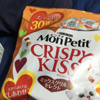昨晩は定時パトロールでした。