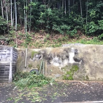厄介作業も・・・気分爽快！